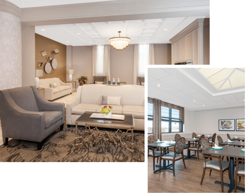 avantara lincolnpark collage2